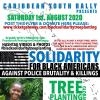 SOLIDARITY FOR BLACK AMERICANS TREE PLANTING  & PICNIC