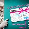 Beeyond Ink Gift Certificates