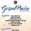 Gospel Praise On Steel - 10th Anniversary