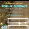 POP-UP SUNDAYZ EXPERIENCE