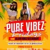 PURE VIBEZ FRIDAYS - Brampton's weekly party for the mature clientele