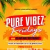 PURE VIBEZ FRIDAYS - Brampton's weekly party for the mature clientele