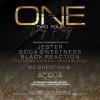 THE ONE | 2024 - The Annual Capricorn Celebration x New Years Alternative
