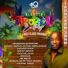 ELEVATE TROPICAL ECSTASY