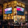 ST. PATRICK'S  BEER DAY |  ONE EYED JACK TORONTO | MONDAY MARCH 17th