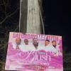 BLUSH PINK & WHITE SOIRÉE