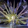 Toronto Caribbean Carnival's King and Queen Showcase