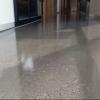 Green Bee Epoxy & Polished Concrete
