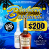 BLUEBERRY BASHMENT ~ VIBEZ SESSION XV