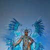 2026 Toronto Carnival Costume Pre-Registation
