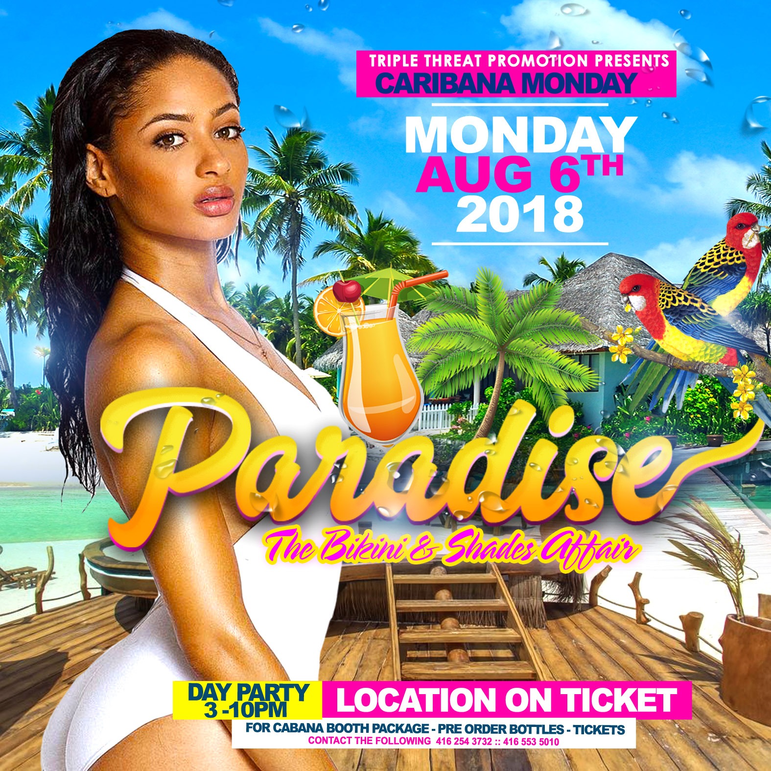 Paradise - The Bikini and Shades After