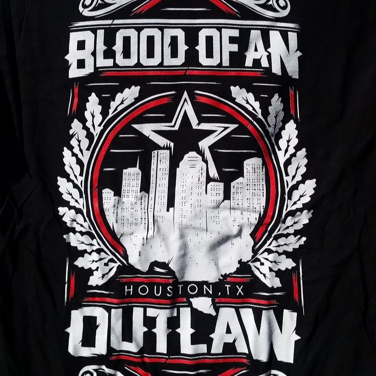 Blood Of An Outlaw 