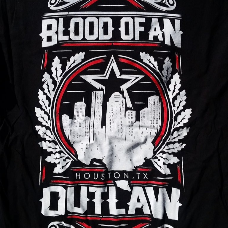 Blood of an Outlaw