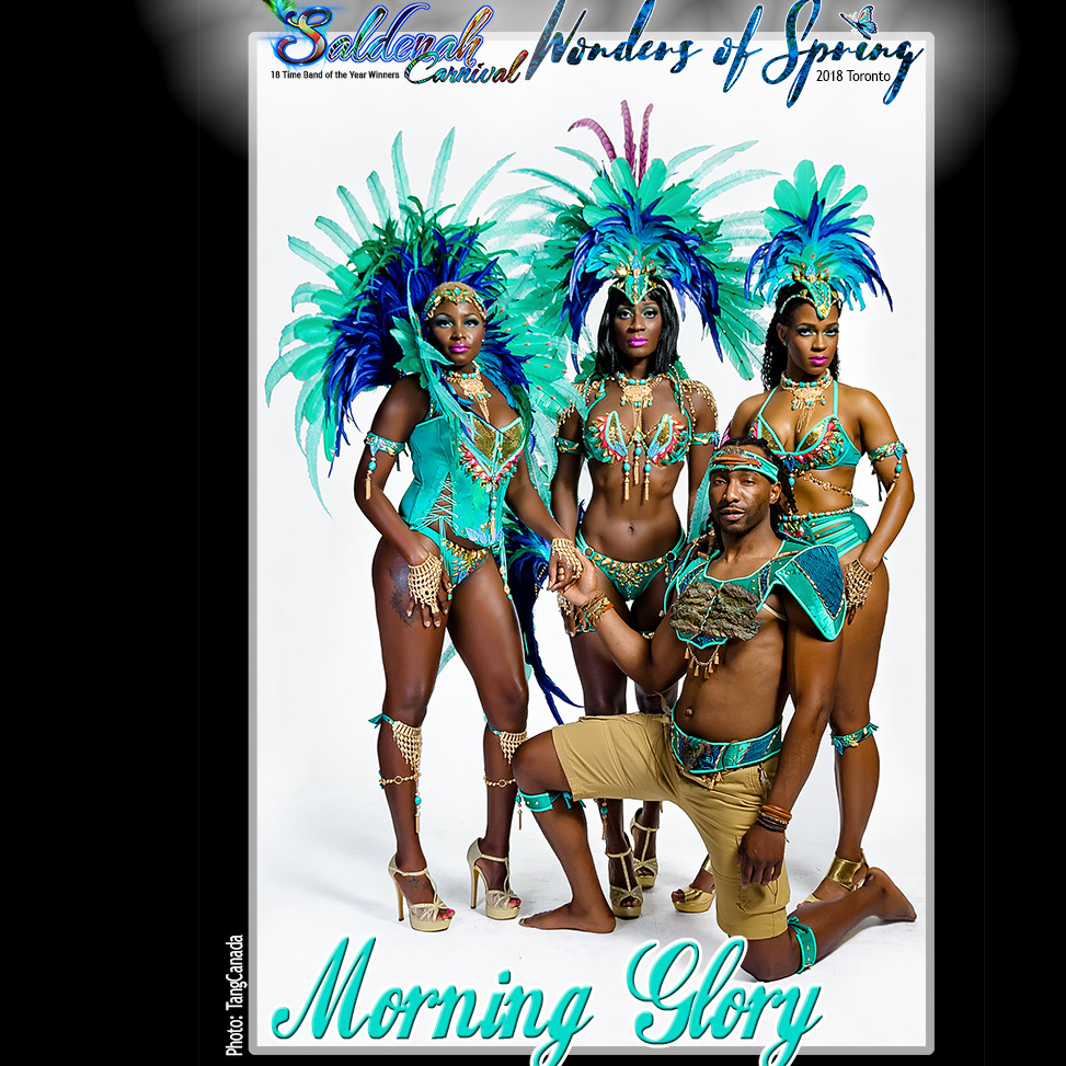 Morning    Glory - Saldenah