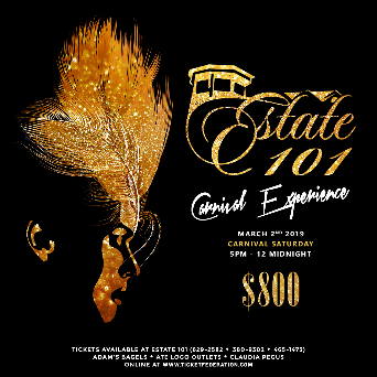 Estate101 Ultra Premium All Inclusive Carnival Experience