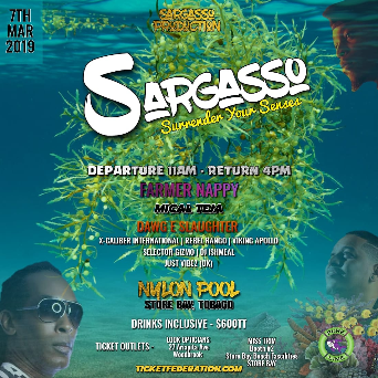 Sargasso - Surrender Your Senses 