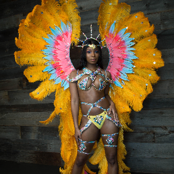 Paradise - VIP Carnival - Toronto Revellers