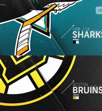 Stanley Cup: San Jose Sharks Vs. Boston Bruins- Home Game 2, Series Game 4 