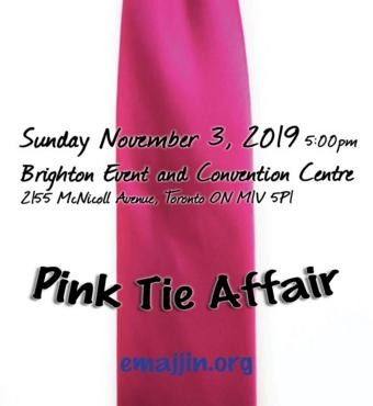 Emajjin Children's Foundation - 6th Annual Gala - Pink Tie Affair