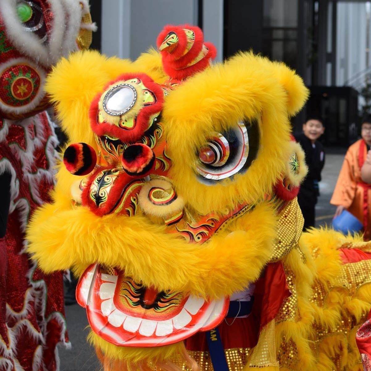 Tet in Boston 2020: Night Concert