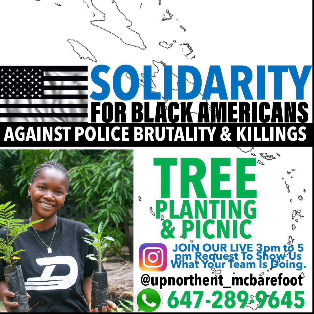 SOLIDARITY FOR BLACK AMERICANS TREE PLANTING  & PICNIC