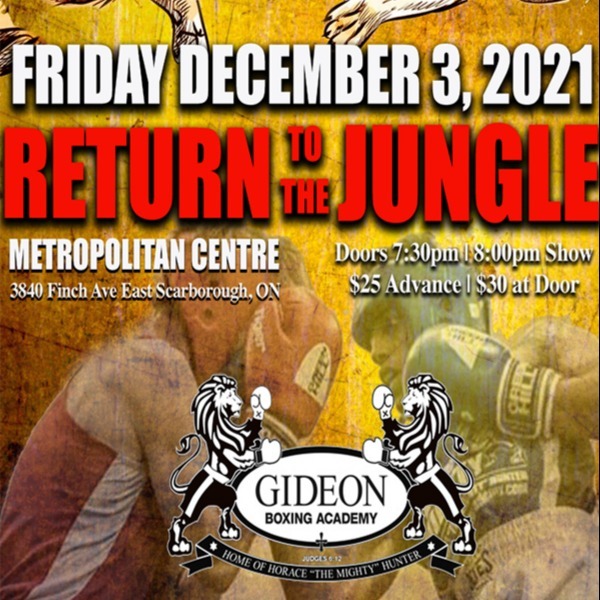 LIVE BOXING | RETURN TO THE JUNGLE