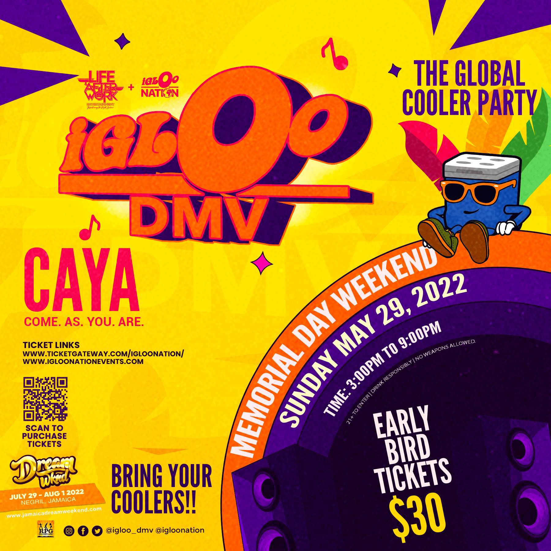 IGLOO DMV