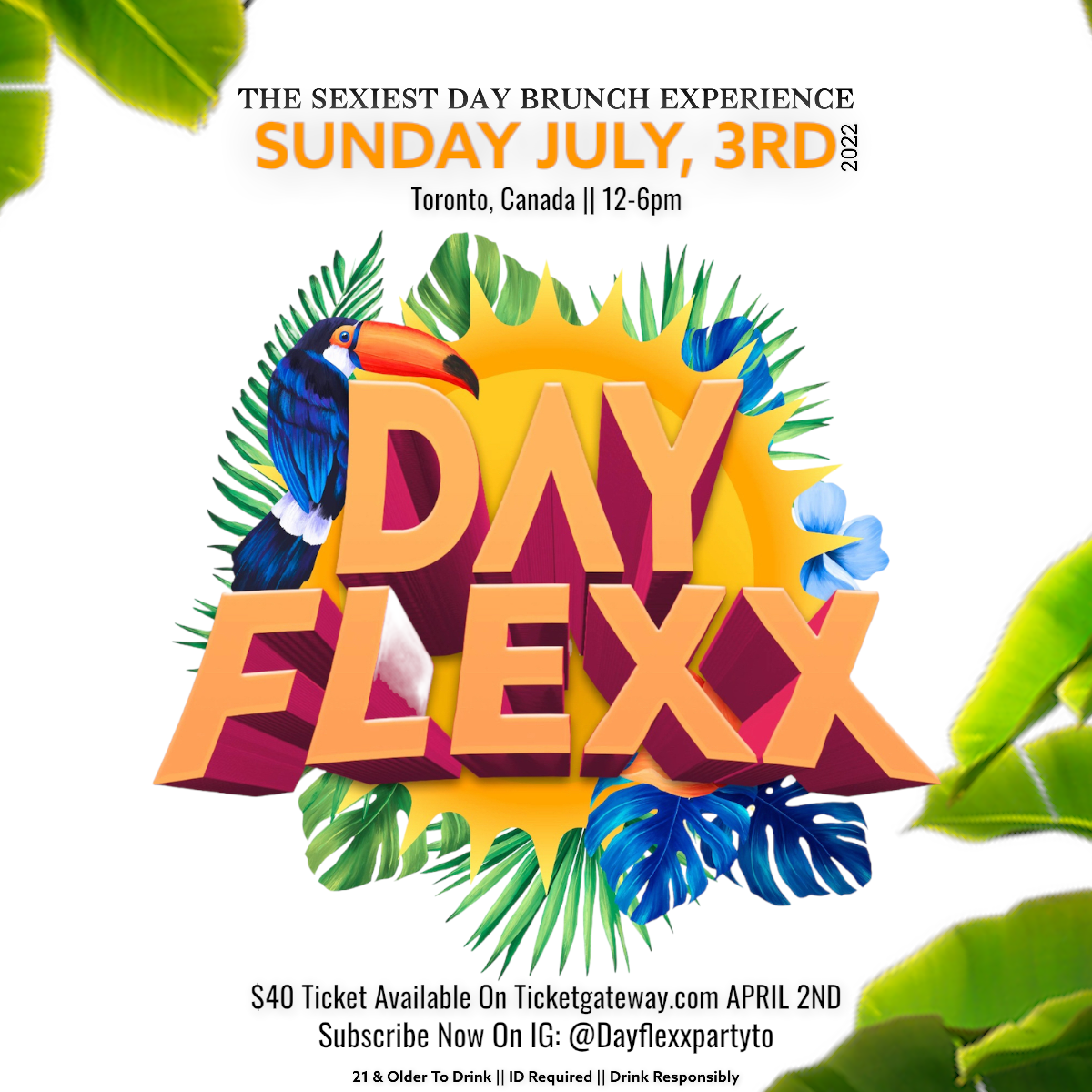 DAYFLEXX (SUMMER EXPERIENCE)