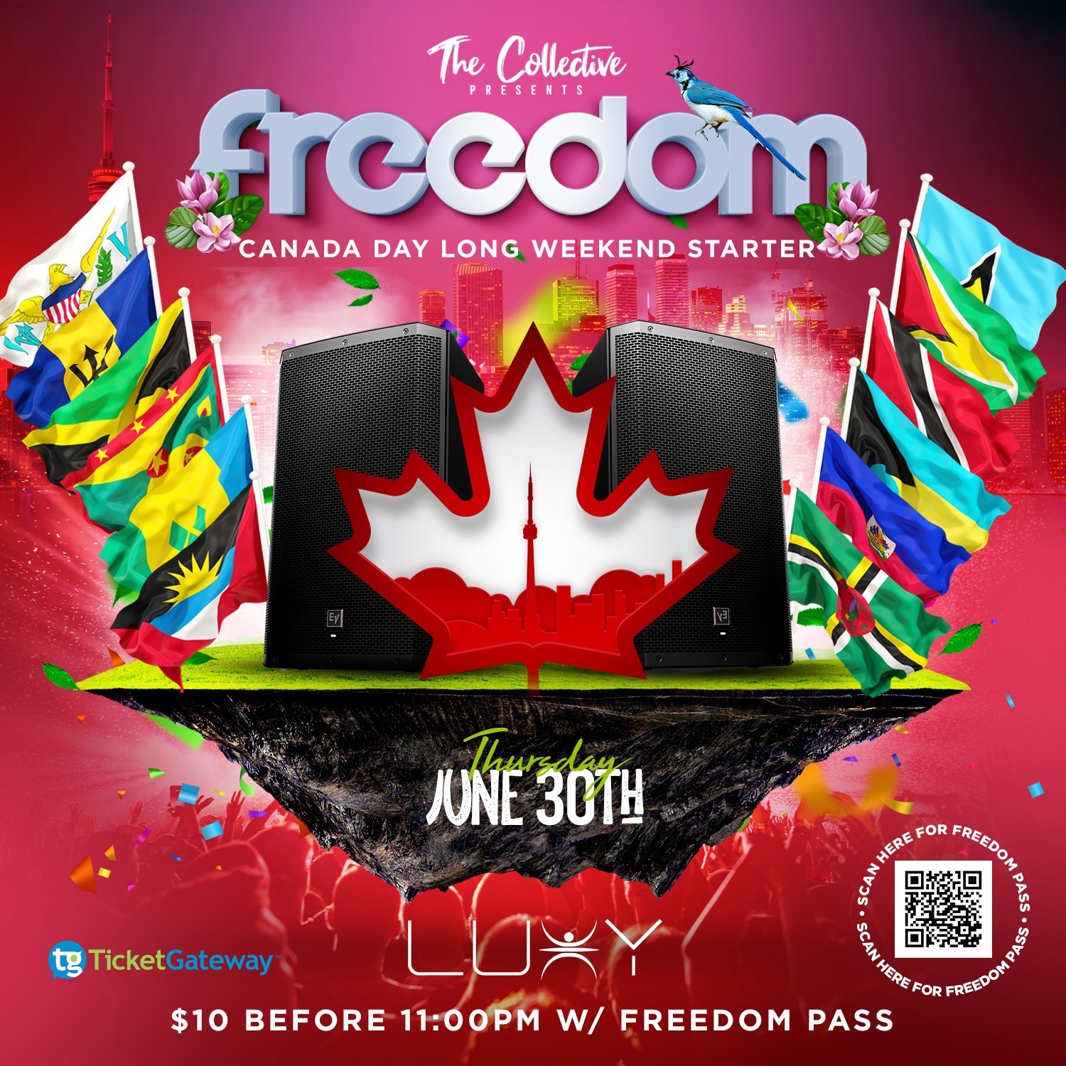 FREEDOM : Canada Day Long Weekend Starter
