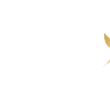 The code to freedom
