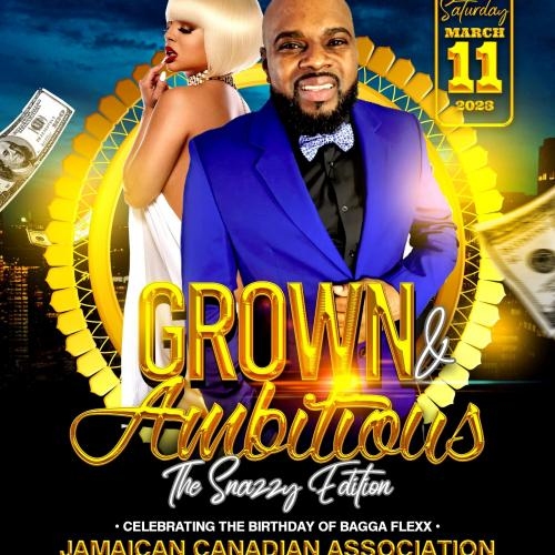 GROWN & AMBITIOUS | THE SNAZZY EDITION