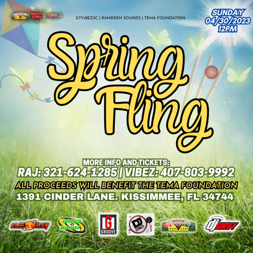 TEMA Foundation Presents: Spring Fling [Fundraiser]