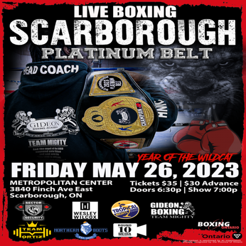 LIVE BOXING SCARBOROUGH PLATINUM BELT