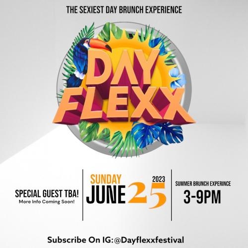 DAYFLEXX (SUMMER EXPERIENCE 2.0)