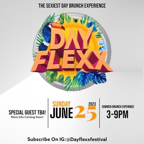 DAYFLEXX (SUMMER EXPERIENCE 2.0) 