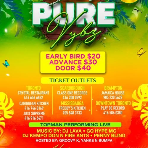 PURE VYBZ