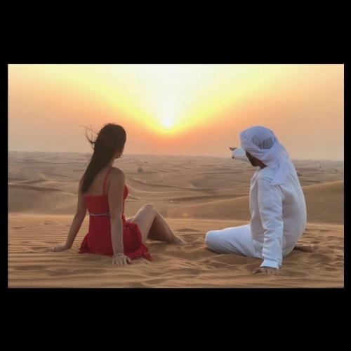 arabain tours uae