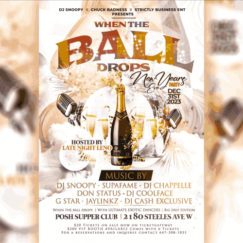 WHEN THE BALL DROPS (NEW YEARS EVE PARTY)