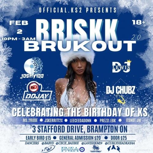 BRISKK BRUKOUTT