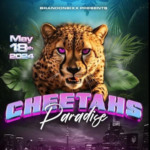 Cheetahs Paradise 