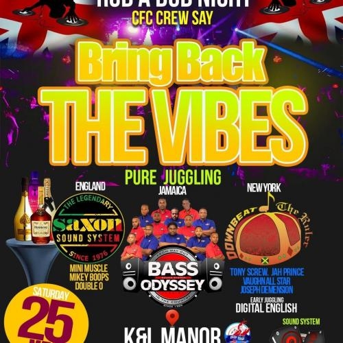 Bring Back The Vibes