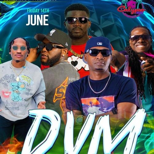 DVM 