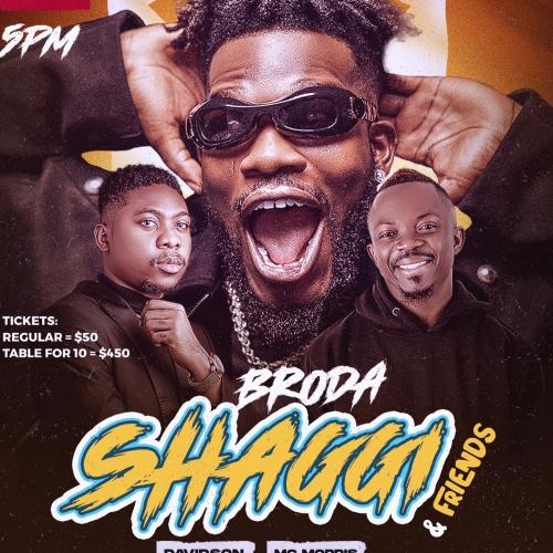 Broda shaggi and friends comedy night