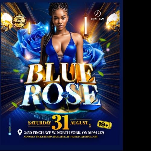 💙 BLUE ROSE 💙