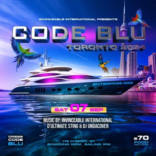 CODE BLU TORONTO 2024