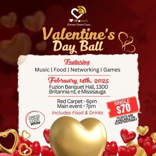 Valentines Day Ball 