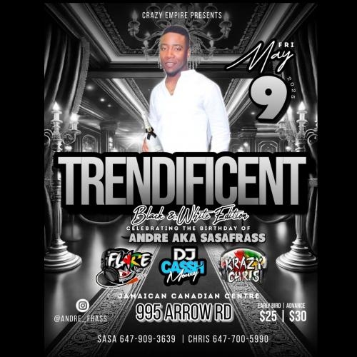 TRENDIFICENT Black & White