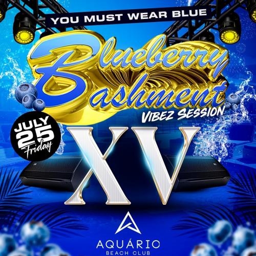 BLUEBERRY BASHMENT ~ VIBEZ SESSION XV 