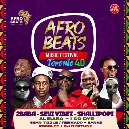 AFROBEATS MUSIC FESTIVALS (SEYI VIBEZ) 