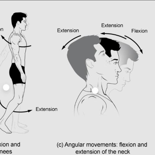 Motion over movement